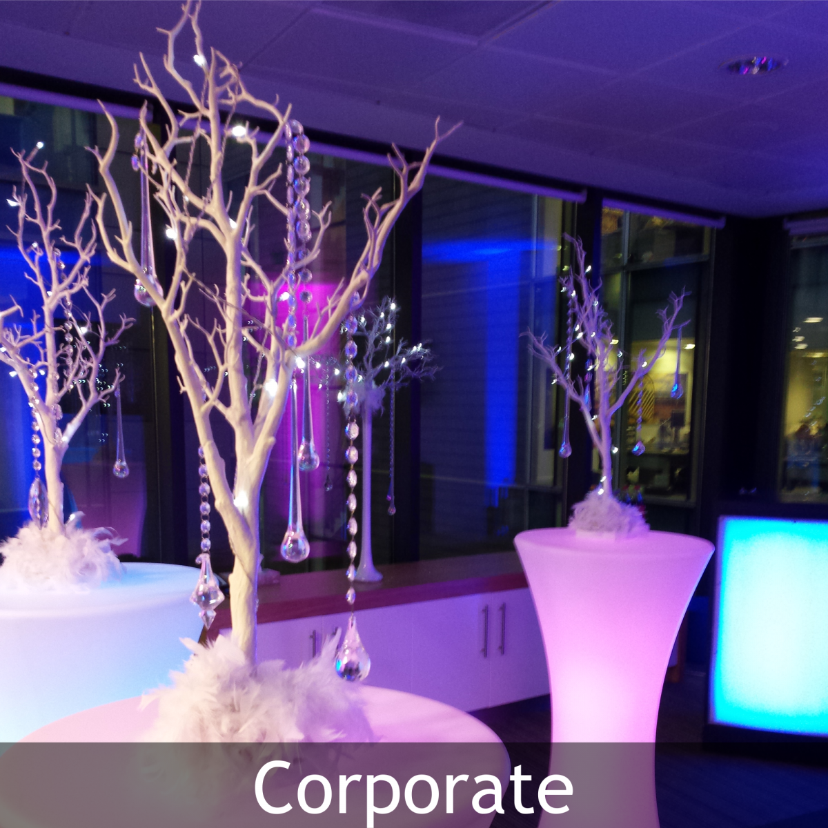 Home Venue Dresser Wedding and Events specialists